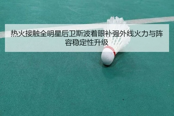 热火接触全明星后卫斯波着眼补强外线火力与阵容稳定性升级